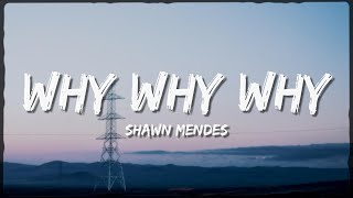 Shawn Mendes - Why Why Why (Lyrics) | Rhythmic Echo