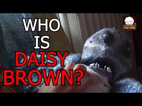 Investigating The Strange Case Of Daisy Brown - Inside A Mind