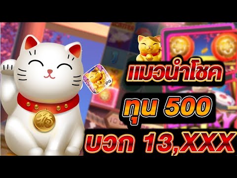 สูตรลับเกม เเมวนำโชค ทำเงินแสนในพริบตา!