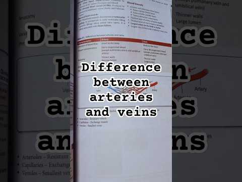 Difference between arteries and veins #anatomy #biology #shortsfeed #shorts #youtubeshorts #trending