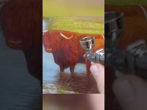 Adding the detail to this painting of Highland Cattle 🎨🖌🐮