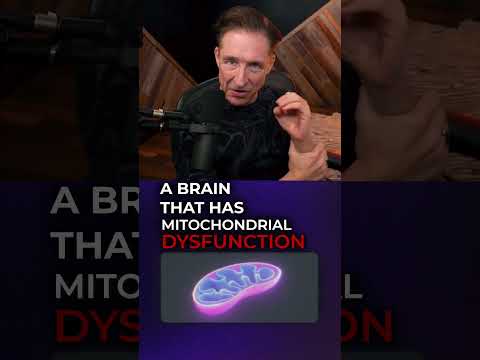 The Amazing Connection Between Mitochondria and Brain Power!