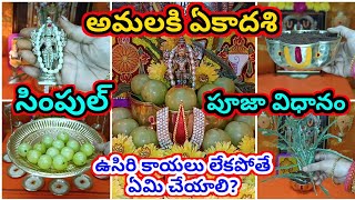 Amalaki ekadasi 2025 pooja vidhanam | ekadashi 2025 pooja | phalguna ekadashi 2025