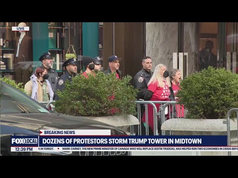 Dozens of protesters storm Trump Tower, standoff with NYPD