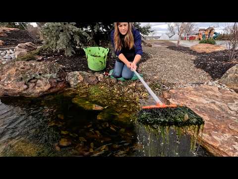 Pond Plant Maintenance & Playing with Pansies! 💙🪴🌸 // Garden Answer