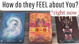 Their CURRENT FEELINGS for You!? ✨🔮 Pick A Card Love Tarot Reading *DETAILED *TIMELESS