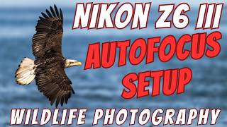 Nikon Z6 III - Autofocus Setup and Button Layout for Bird and Wildlife Photography