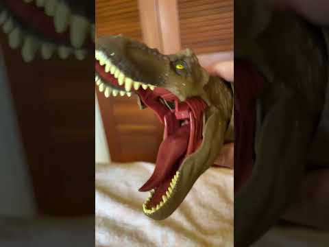 Jurassic World: Rexy & Pals 5 #shorts