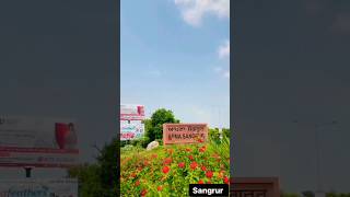 ♥️Sangrur city 👌#youtube short#viral #subscribe #like #punjab#video #trending#india#sangrur #shorts