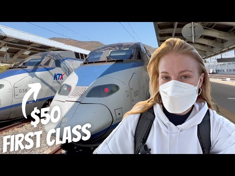 $50 FIRST CLASS KTX Korean Bullet Train Review (한국어 자막)