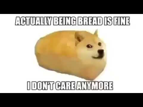 NO I DONT WANT TO BE BREAD DOGE