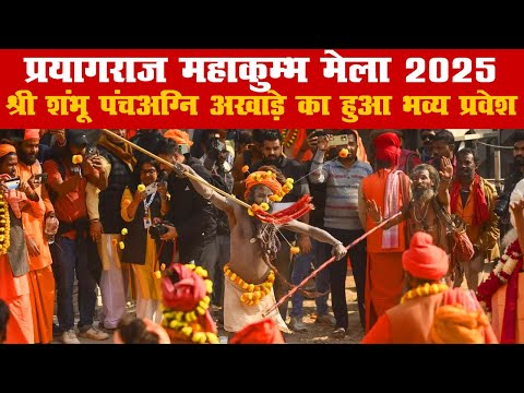 श्री शंभू पंचअग्नि अखाड़े का महाकुम्भ क्षेत्र में हुआ भव्य प्रवेश #mahakumbh2025 #prayagraj