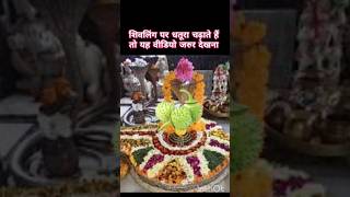 नंदीकेश्वर महादेव पर धतूरा चढ़ाने का महत्व # #upay #dhaturakaupay #shortsviral #shortsfeed