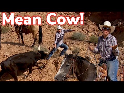 Desert Cattle Drive Gone Wrong: Vlog #31