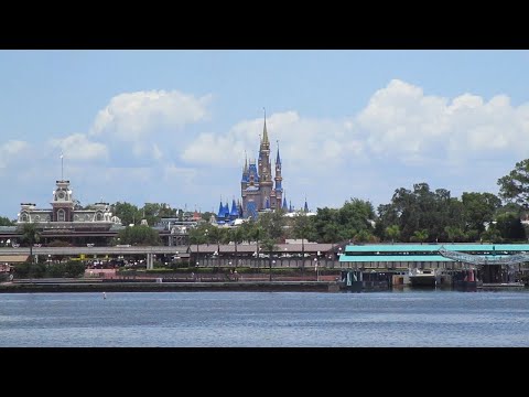 My Video Blog - Disney's Magic Kingdom