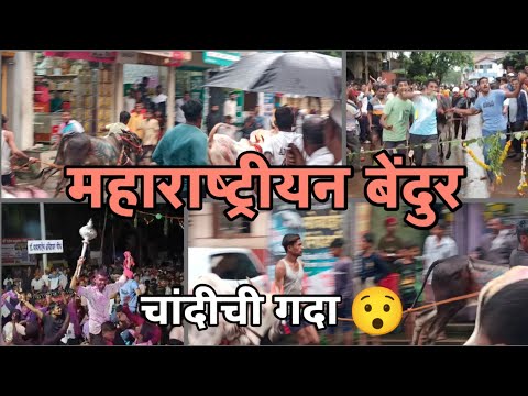 Maharashtra bendur 🤩| महाराष्ट्रीयन बेंदुर | ठिकाण - कुरुंदवाड #बेंदुर #maharashtrabendur #bendur