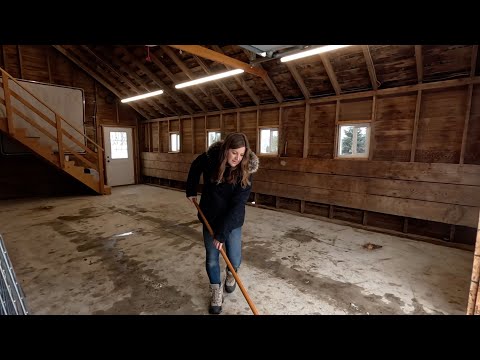 Moving Bulb Crates Into Heat, Barn Clean Out, & Harvesting Carrots for a Stew! 🌷💪🥕 // Garden Answer