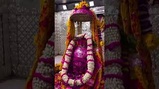 Mahakaleshwar jyotirlinga ujjain, Holi status video #explore #explorepage #exploremore #temple