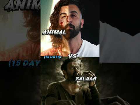 Animal vs Salaar 15 Days All India BOC Comparison || #salaarboxofficecollection #animal #prabhas