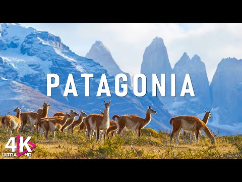 Wonders Of Patagonia 🌍 The Most Amazing Places In Patagonia ⚡ Travel Video 4K