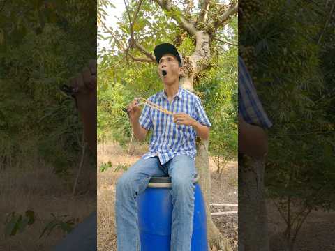 "Survival Challenge: Blue Plastic Barrel!" #entertainment #birdsounds #shorts #camping #survival