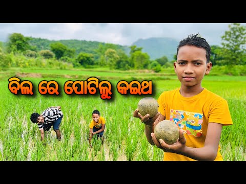 କଣ ହବ ବିଲ ରେ ପୋଟିଲେ କଇଥ #ଆମ ଗାଁ #odiavlog