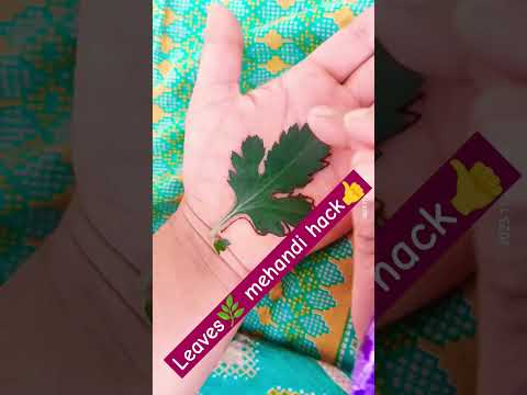 leaves 🌿mehandi hack 👍.mehandi pattern.#leavesdesign #tipsandtricks#hacks #hennapattern #shortvideo