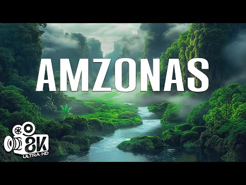 MARAVILLAS DEL AMAZONAS | Las maravillas más increíbles del Amazonas | Vídeo de viaje