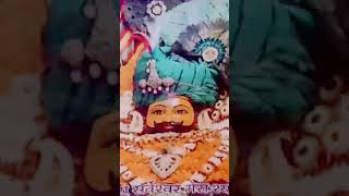 Mai haar#bageshwerdamsrkar #bageshwardhamguruji#shortvideo #viralvideo#trending #shreekrishna #radhy