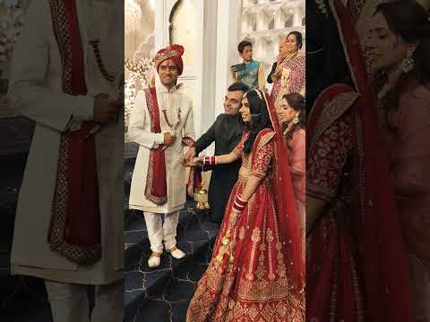 Wedding short 23 November 2024      #shortsvideo #viralshort #trending