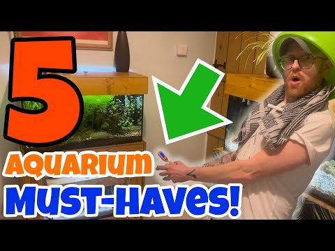 5 AQUARIUM MUST-HAVES! *for easier fish keeping