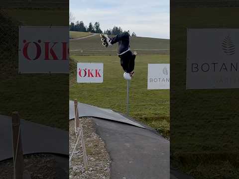 Backflip Line Pumptrack Höchi