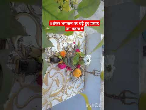 शंकर भगवान पर चढ़े हुए प्रसाद का महत्व 🌿🙏#short #shortsviral