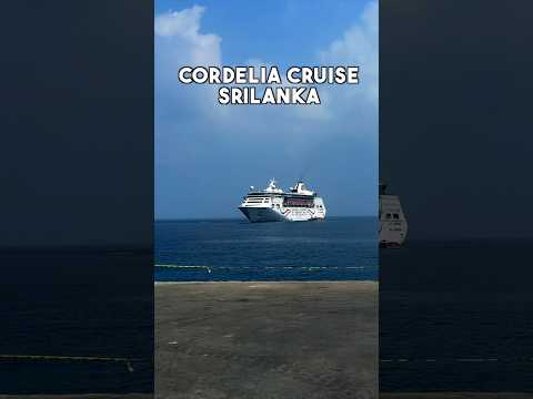 Cordelia Cruises India to Sri Lanka! #shortsvideo #shorts #srilankashorts