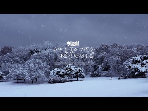 The sound of snow falling at dawn on a snowy path