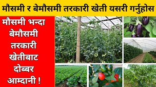 मौसमी र बेमौसमी तरकारी खेती गर्ने तरिका || Methods of growing seasonal and off-season vegetables.