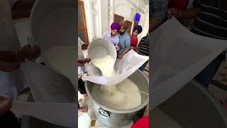 Mango Shabeel At Golden Temple , Amritsar #harimandersahib #amritsarislive  #shabeel