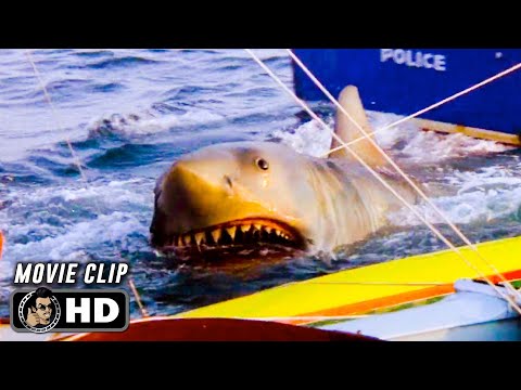 Brody To The Rescue Scene | JAWS 2 (1978) Movie CLIP HD