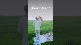 Dampata Handawe (දම්පාට හැන්දෑවේ) #love #fypシ゚viral