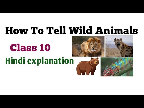 How To Tell Wild Animals Class 10!! How To Tell Wild Animals poem class 10!! #booksonvideo