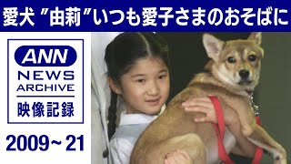 《愛子さまが命名》愛犬“由莉”いつも愛子さまのおそばに(2009～2021年)【皇室】【映像記録　news archive】