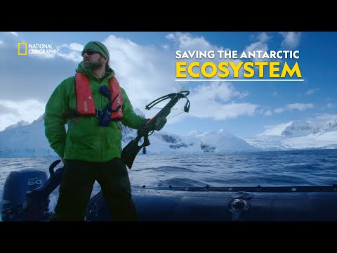 Impact of Climate Change | Continent 7: Antarctica | हिंदी | Full Episode | S1 - E4 | Nat Geo