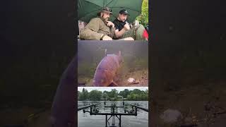 First live underwater carp run! #fishing #carping #carp #karpfen #underwater #carprun #run #2024