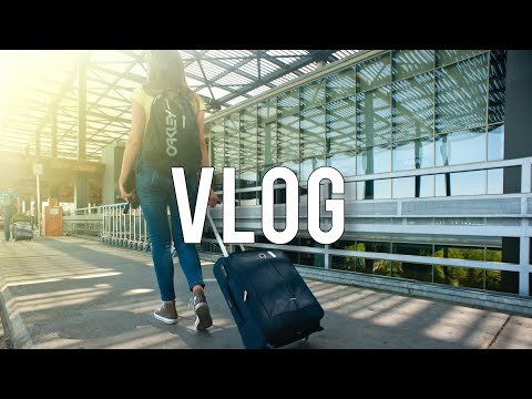 Indian Vlog Background Music No Copyright / No Copyright Vibes