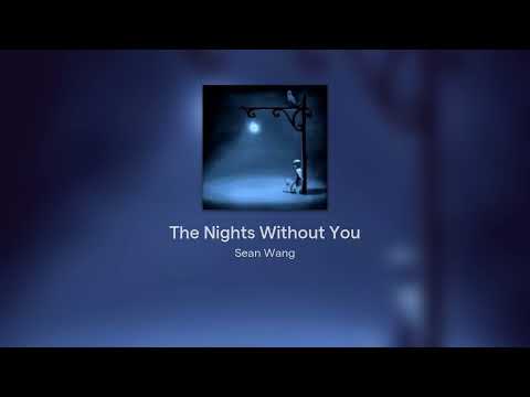 The Nights Without You