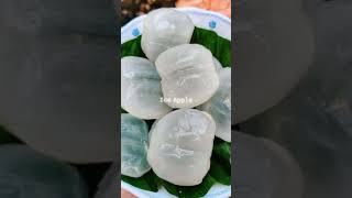 Must Eat These Hydrating Fruits In Summer 2024 | The NiShi Sisters | Summer | YoutubeShorts | Fruits