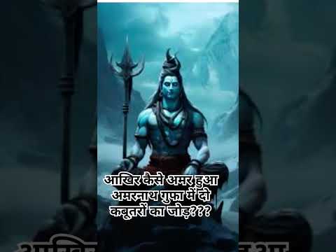 दो अमरकबूतरों की कहानी#lordshiva #amarnath #youtubeshorts #pleasesubscribe #mychannel 🙏🙏🙏🙏