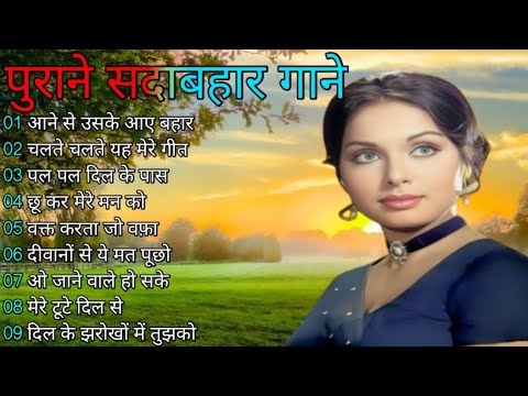 Superhit Song of Lata Mangeshkar & Mohammad Rafi ||  || Asha Bhosle || Kisore Kumar || Old is Gold