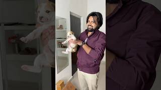 Puppy 🐶 ko adopt kar liya 😍#shorts #hearttouching #dog #doglover #minivlog #puppyvideos #puppypic