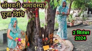 2 सितंबर 2024 somvati Amavasya Pooja !! सोमवती अमावस्या की सरल पूजा विधि नियम जानें फेरी कैसे लगाएं